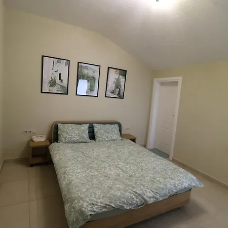 The Tree Palm Trees *