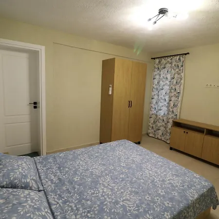 Villa The Tree Palm Trees